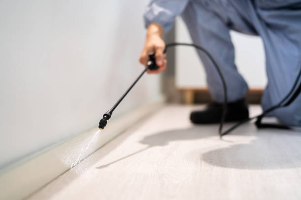Licensed Rodent Control service in Saline County County, IL - Nex Pest Control