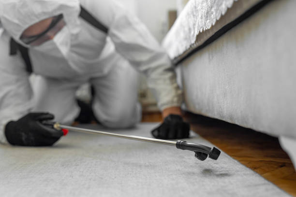Professional Rodent Control technician working in Saline County County, IL